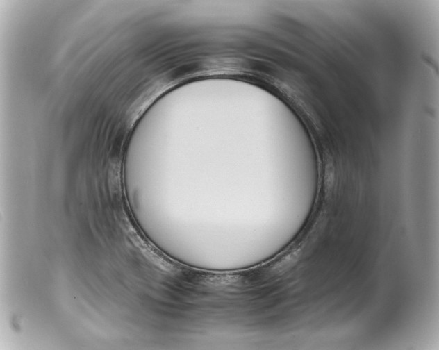 X0000099551417200805301511