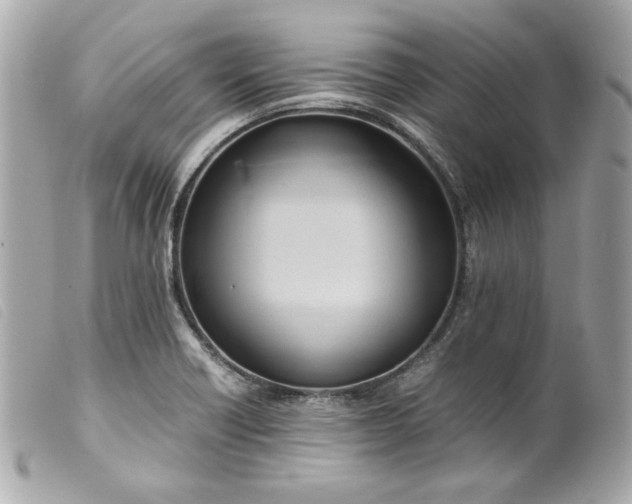 X0000099551418200805301511