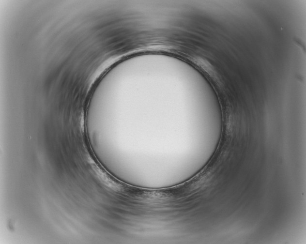 X0000099551420200805301511