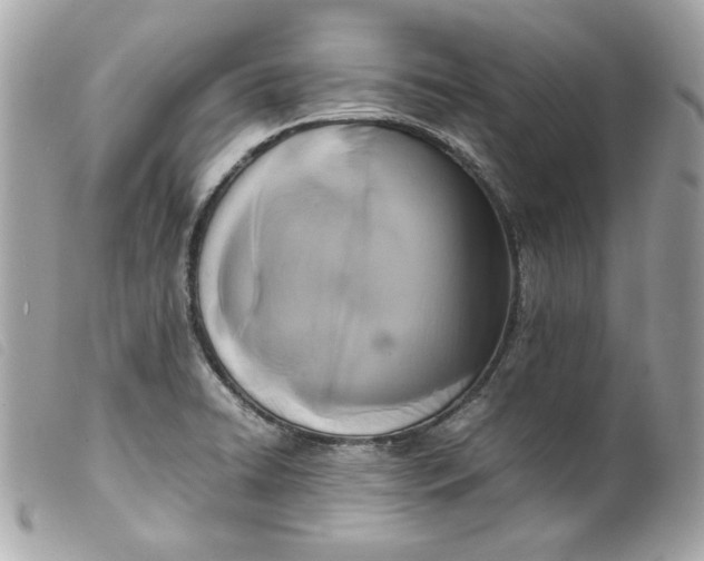 X0000099551422200805301511