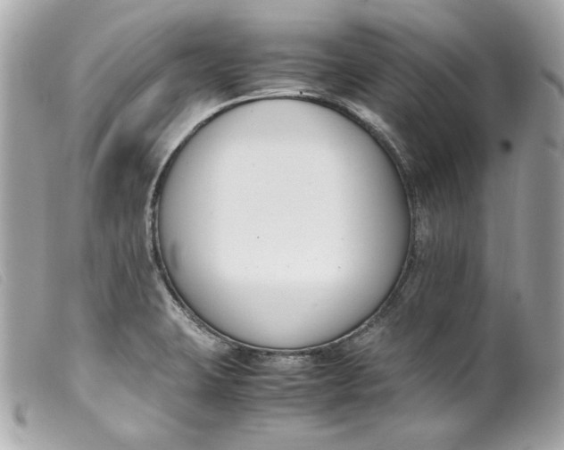 X0000099551423200805301512