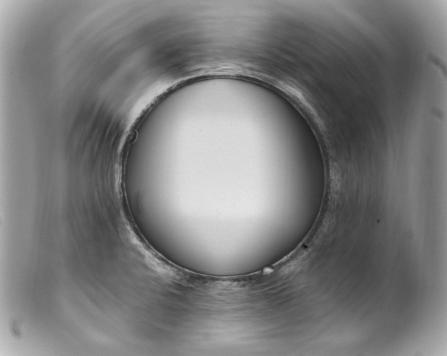 X0000099551424200805301512