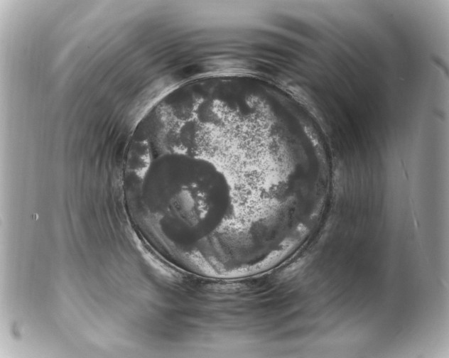 X0000099551425200805301512