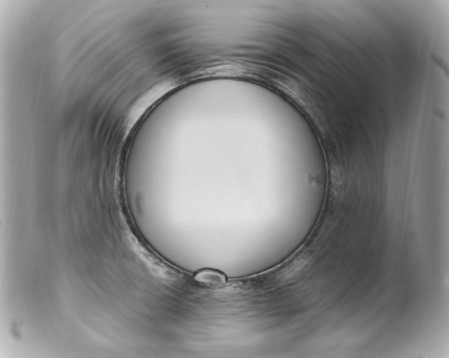 X0000099551426200805301512