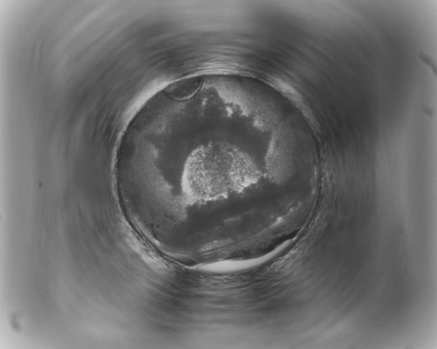 X0000099551427200805301512