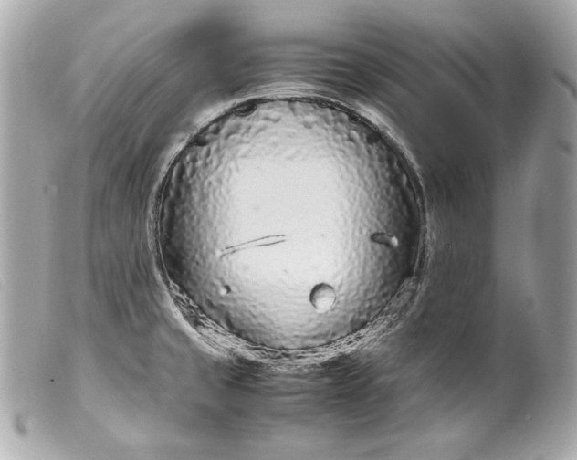 X0000099551429200805301512