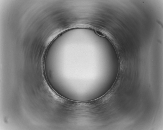 X0000099551430200805301512