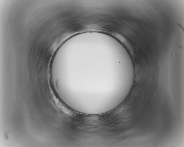 X0000099551431200805301512