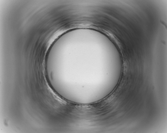 X0000099551432200805301512