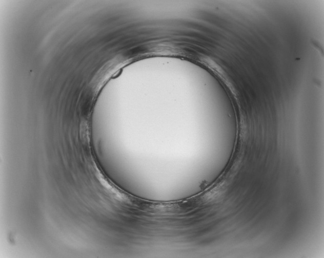 X0000099551433200805301512