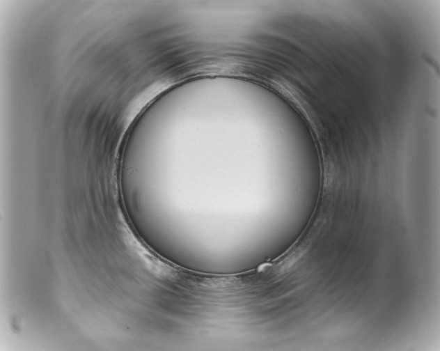 X0000099551434200805301512