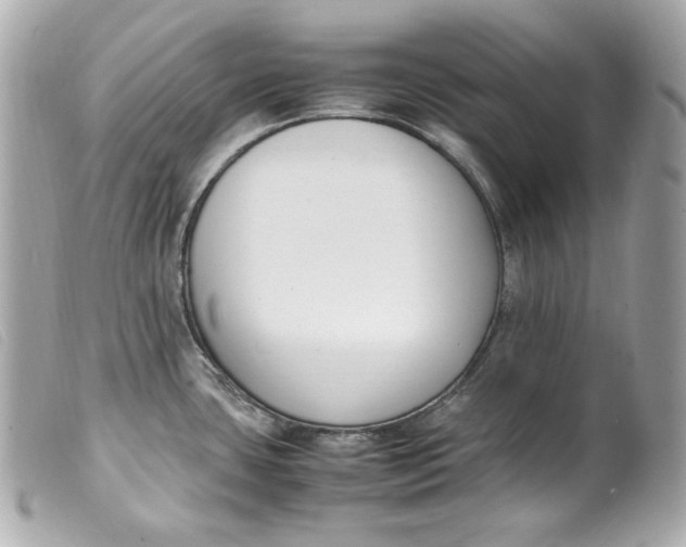 X0000099551435200805301512