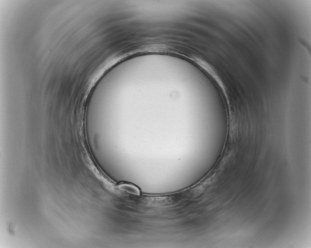 X0000099551437200805301512