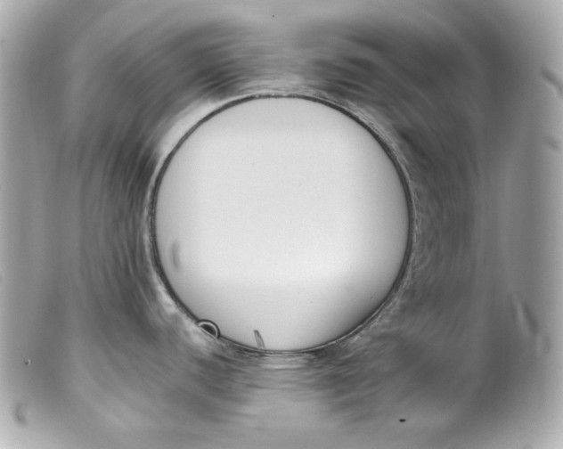 X0000099551440200805301512