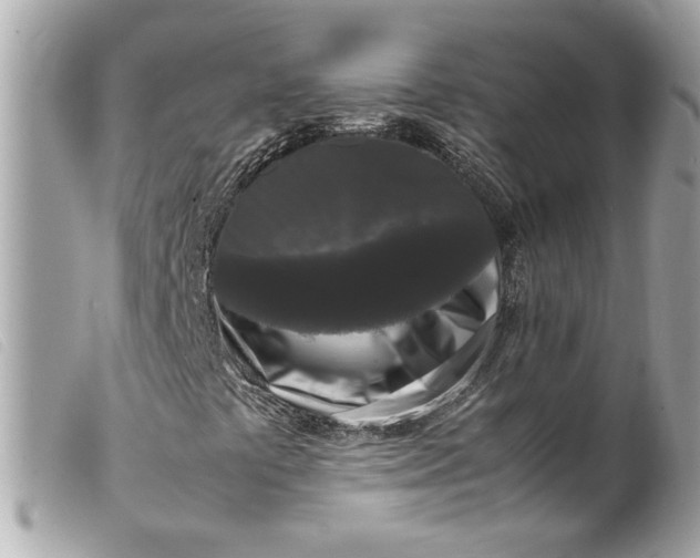 X0000099551441200805301511