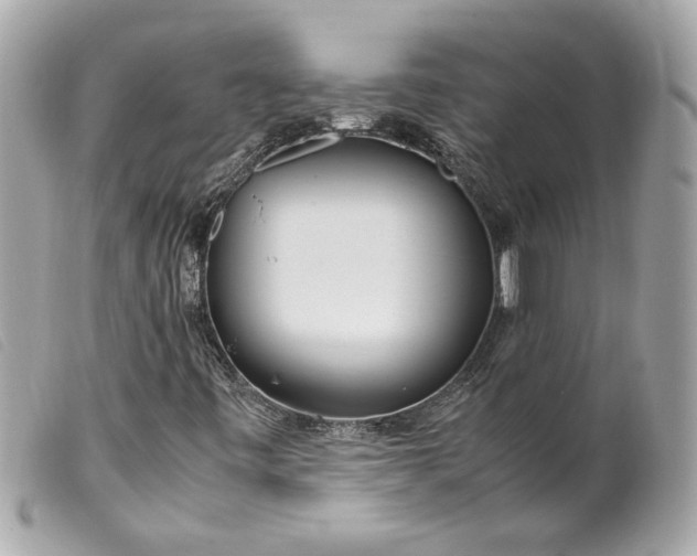 X0000099551443200805301511