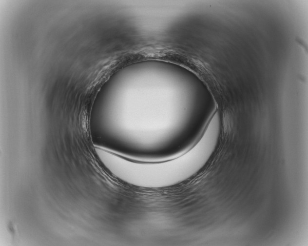 X0000099551444200805301511