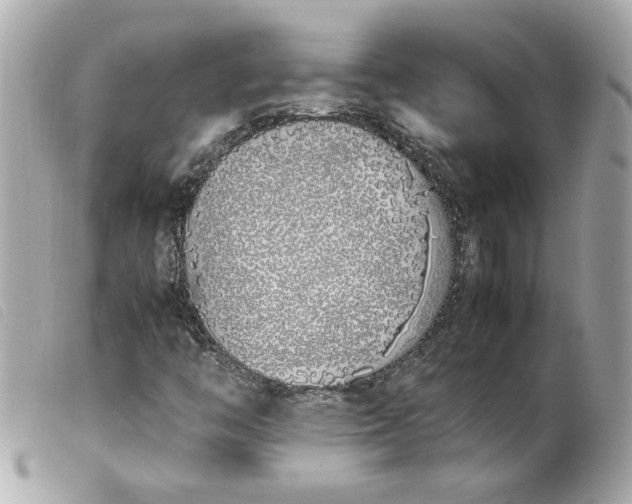 X0000099551446200805301511