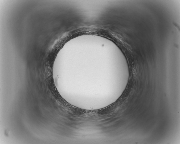 X0000099551447200805301511