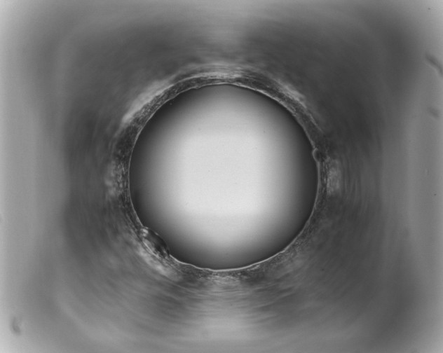 X0000099551448200805301511