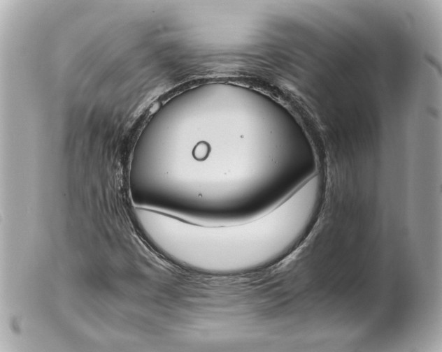 X0000099551449200805301511