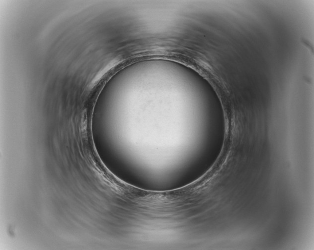 X0000099551450200805301511