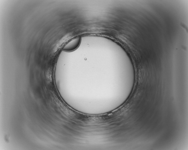 X0000099551451200805301511