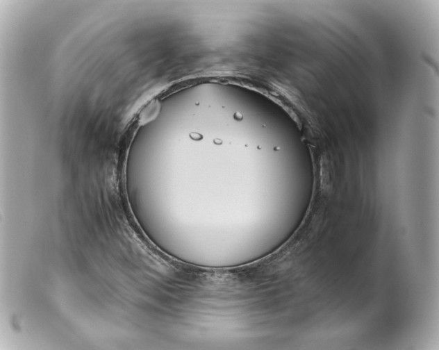 X0000099551452200805301511