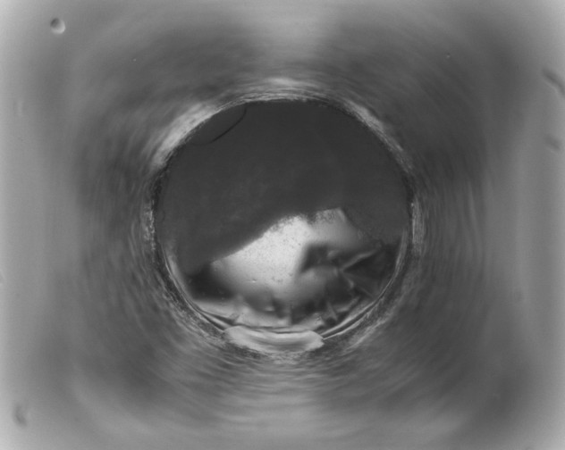 X0000099551453200805301511