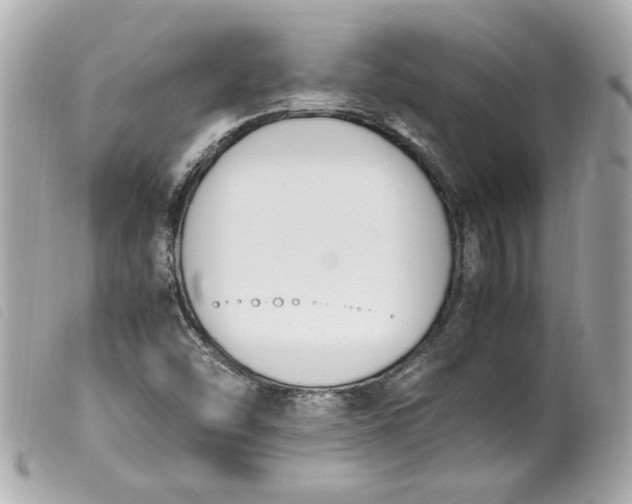 X0000099551454200805301511