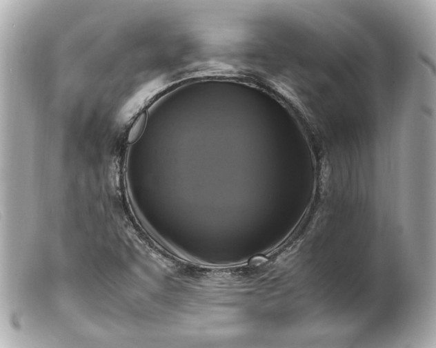 X0000099551455200805301511