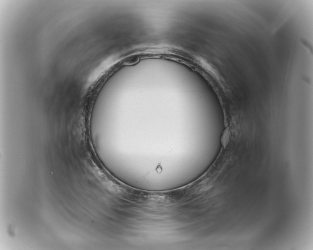 X0000099551456200805301511