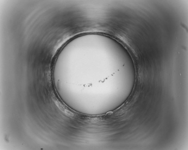 X0000099551460200805301511