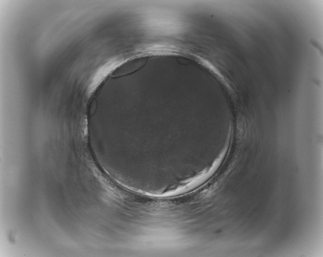 X0000099551461200805301511