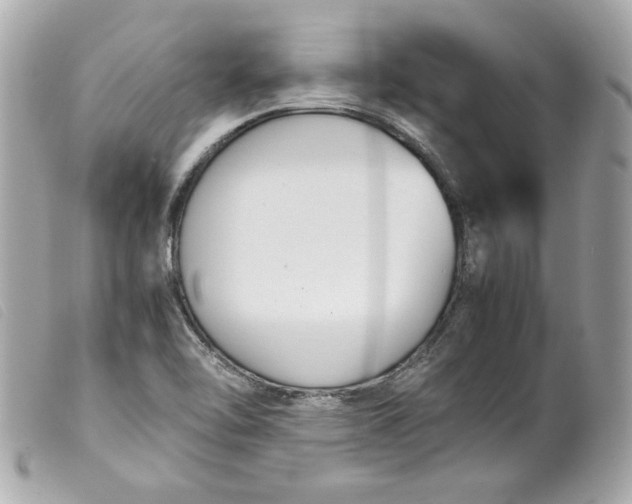 X0000099551462200805301511