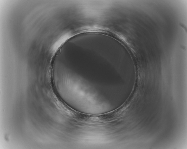 X0000099551463200805301511