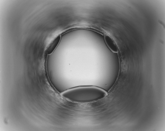 X0000099551464200805301511