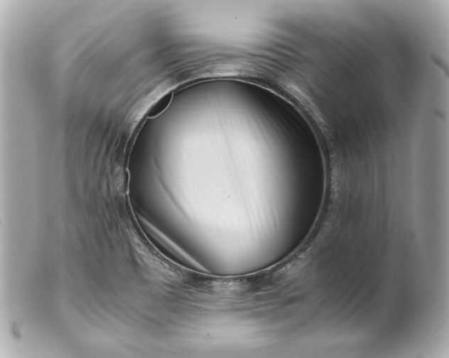 X0000099551465200805301511