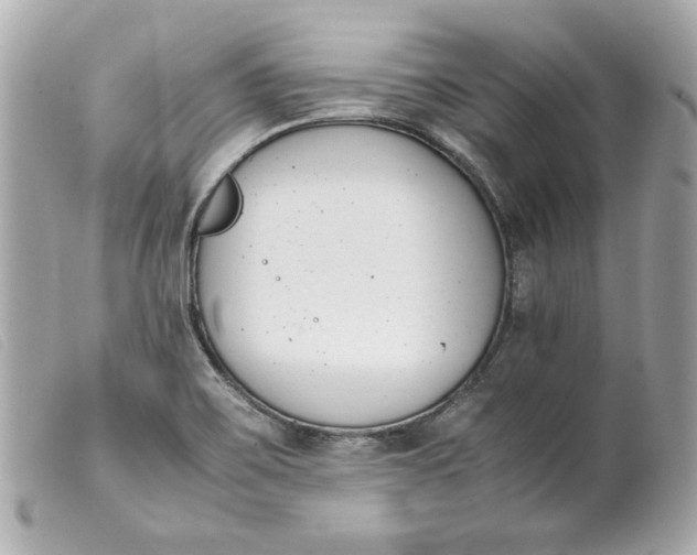 X0000099551467200805301511