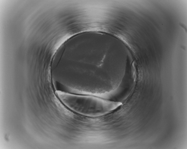 X0000099551468200805301511