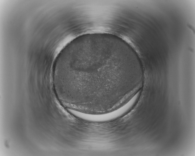 X0000099551469200805301511