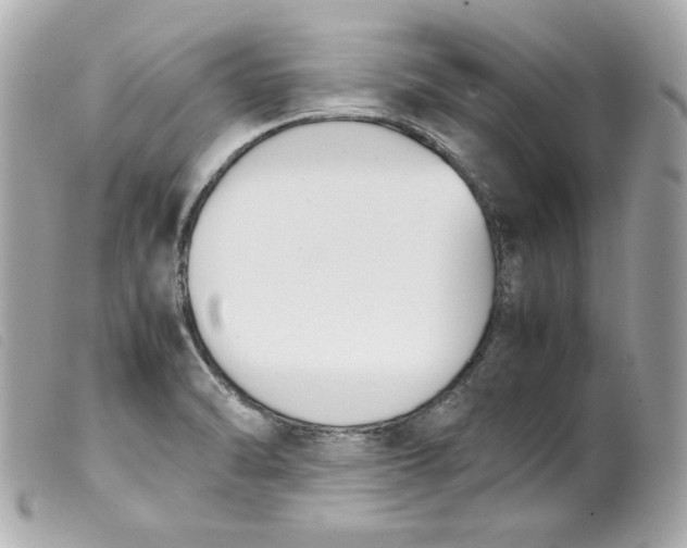 X0000099551470200805301511