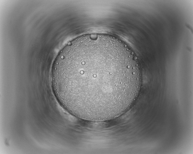 X0000099551471200805301511