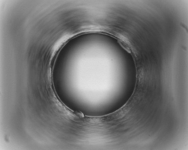 X0000099551472200805301511