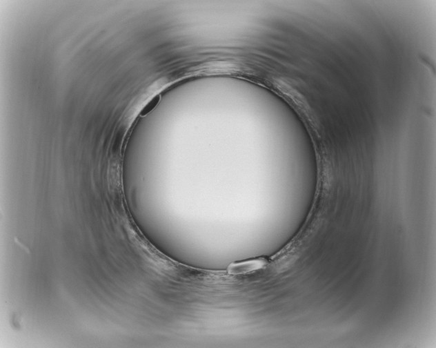 X0000099551473200805301511