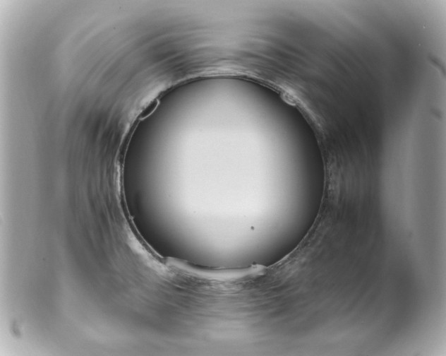 X0000099551476200805301511