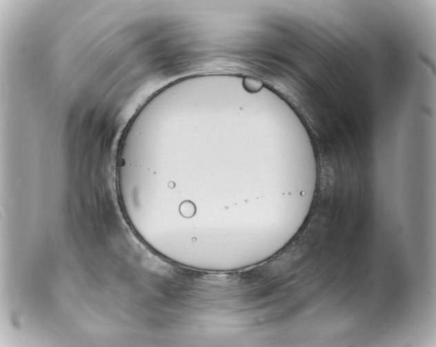 X0000099551478200805301511