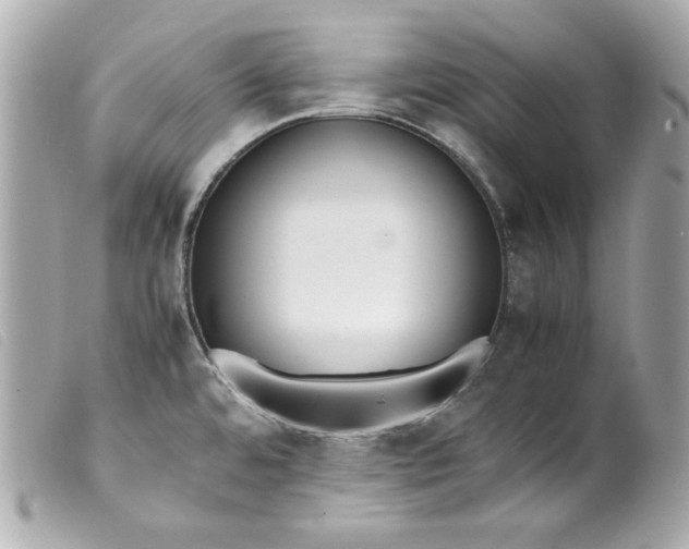 X0000099551480200805301511