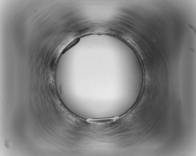 X0000099551481200805301511