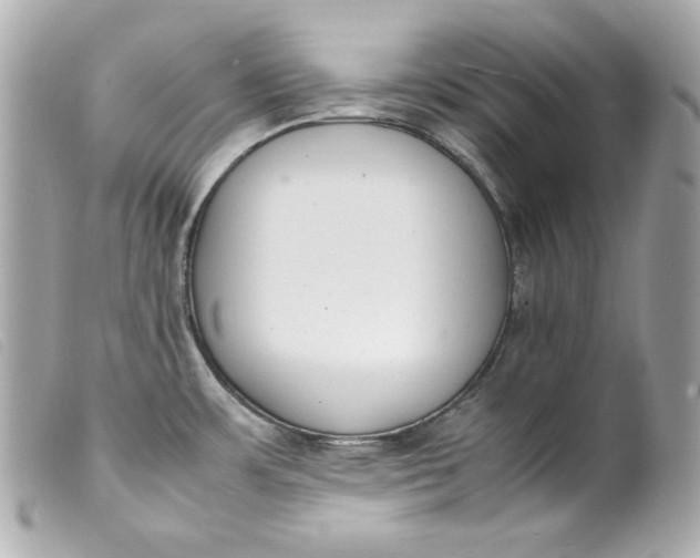 X0000099551483200805301511